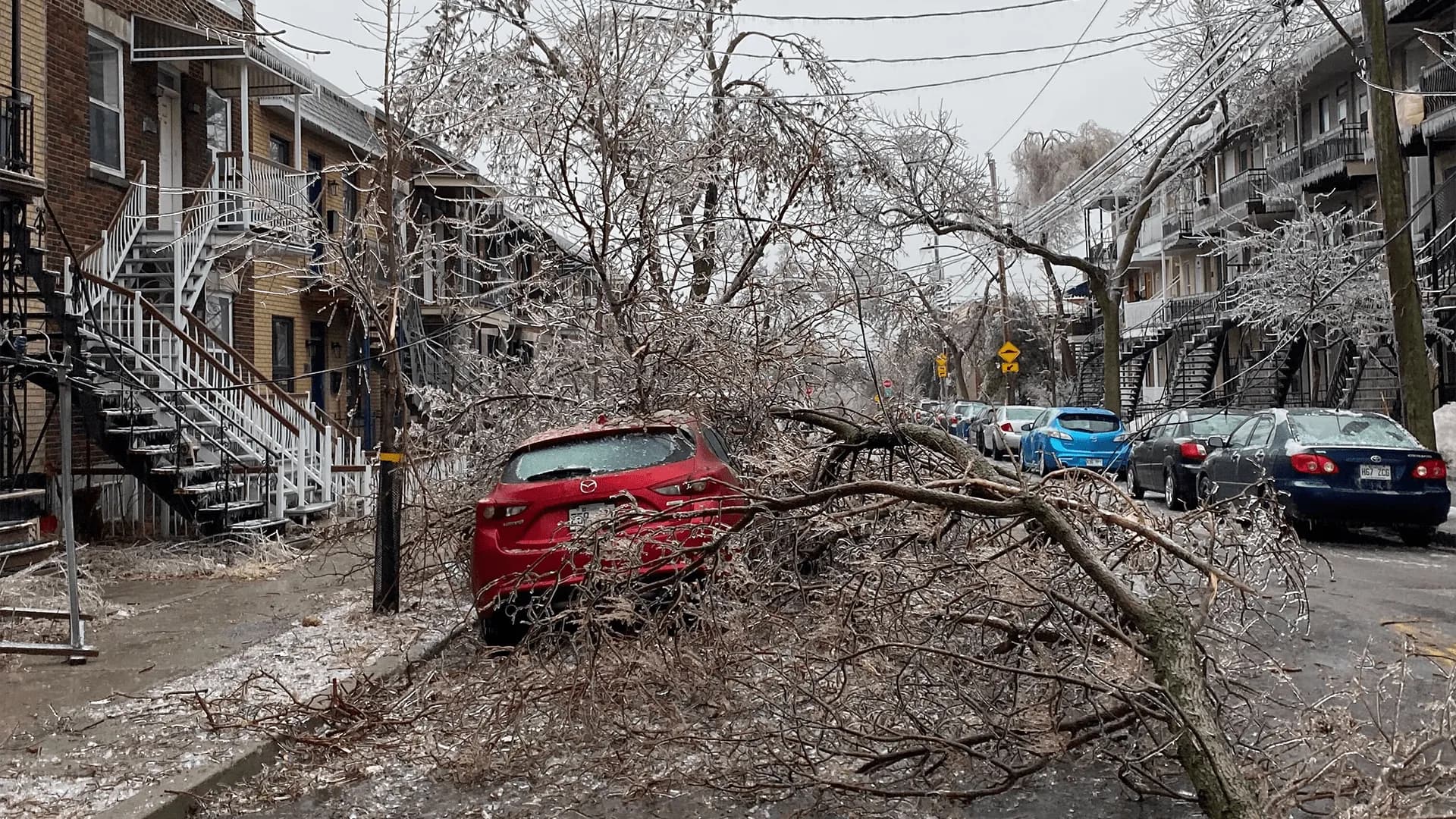 Femme souriante travaillant sur son ordinateur portable dans un café en plein air